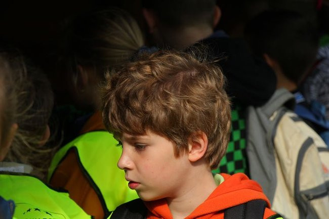 O szopie i innych zwierzętach (zdjęcia)