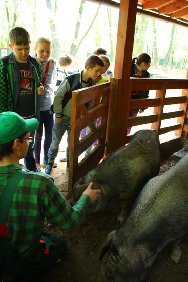 O szopie i innych zwierzętach (zdjęcia)