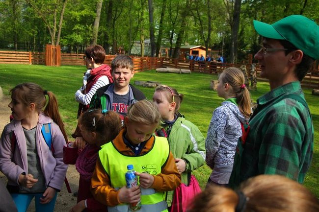 O szopie i innych zwierzętach (zdjęcia)