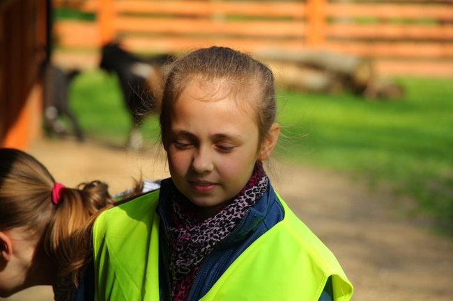 O szopie i innych zwierzętach (zdjęcia)