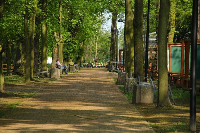 O szopie i innych zwierzętach (zdjęcia)