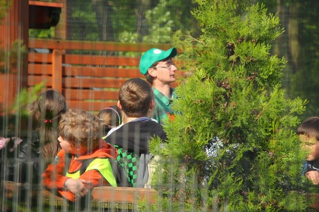 O szopie i innych zwierzętach (zdjęcia)