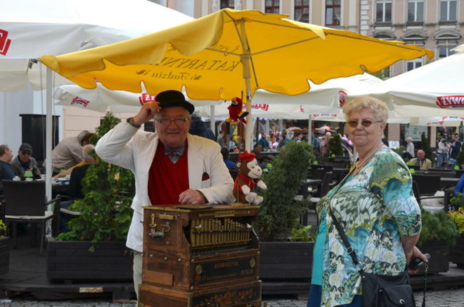 Bruk zeszlifowany (zdjęcia)