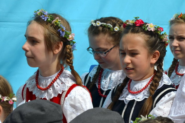 Bruk zeszlifowany (zdjęcia)