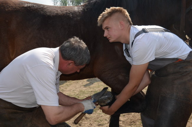 W harmonii z końmi (zdjęcia)