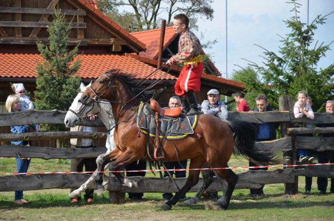 W harmonii z końmi (zdjęcia)