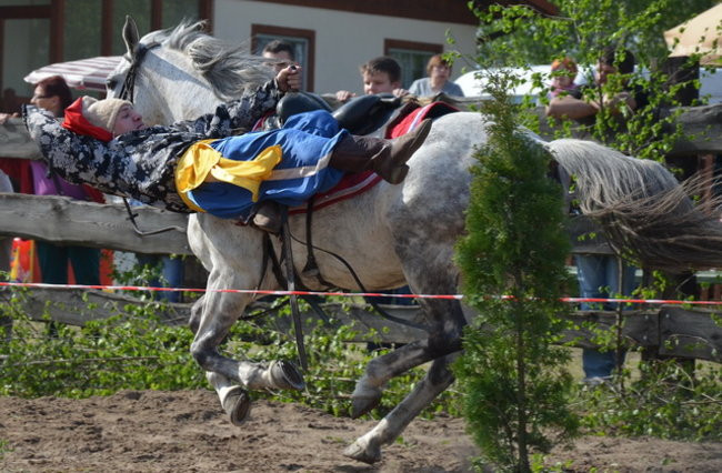 W harmonii z końmi (zdjęcia)
