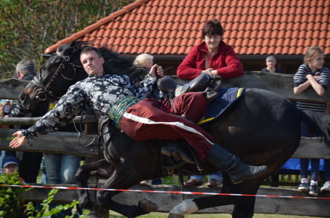 W harmonii z końmi (zdjęcia)