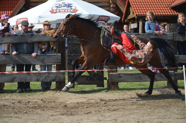 W harmonii z końmi (zdjęcia)