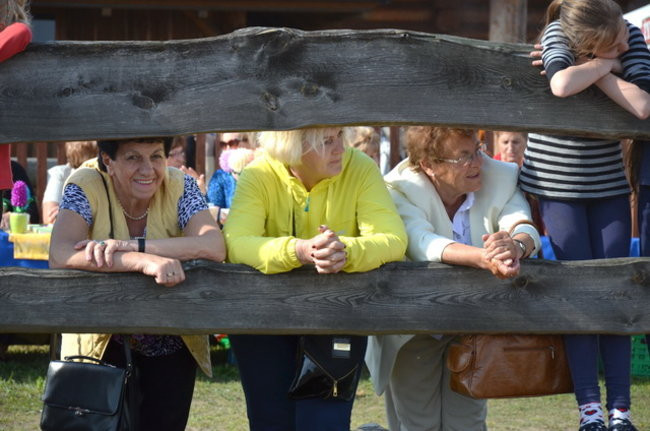 W harmonii z końmi (zdjęcia)