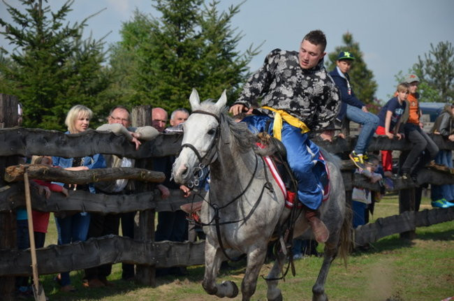 W harmonii z końmi (zdjęcia)