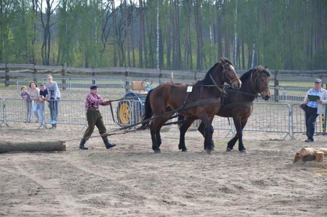 W harmonii z końmi (zdjęcia)