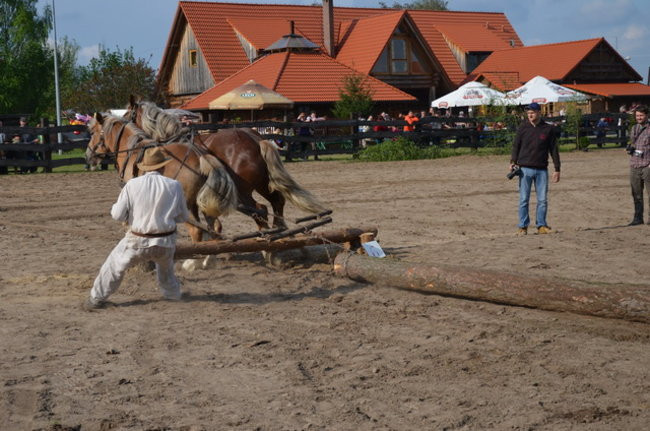 W harmonii z końmi (zdjęcia)