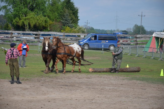 W harmonii z końmi (zdjęcia)