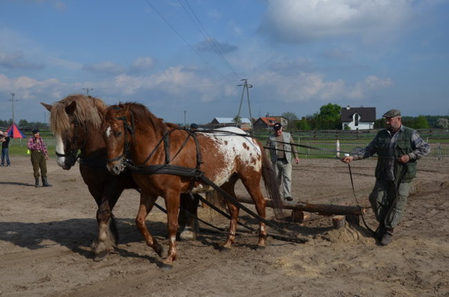 W harmonii z końmi (zdjęcia)