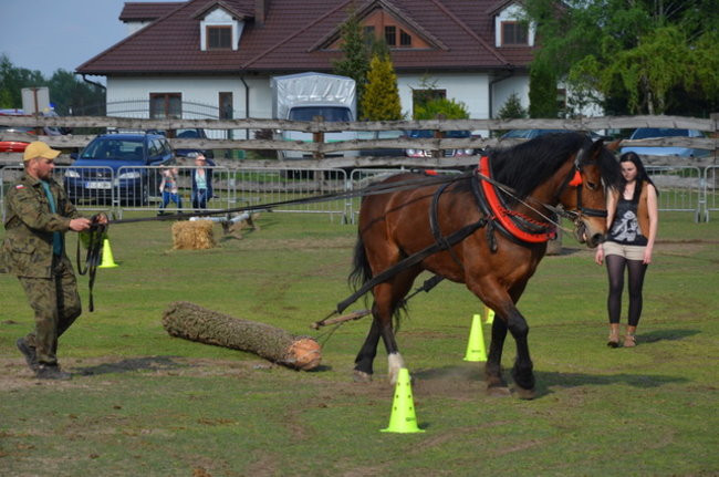 W harmonii z końmi (zdjęcia)