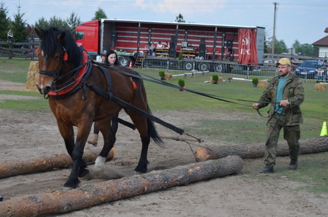 W harmonii z końmi (zdjęcia)