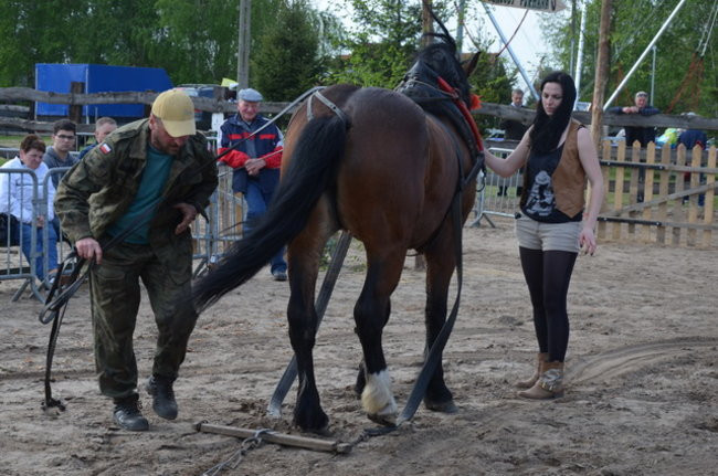 W harmonii z końmi (zdjęcia)