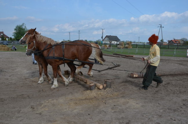 W harmonii z końmi (zdjęcia)