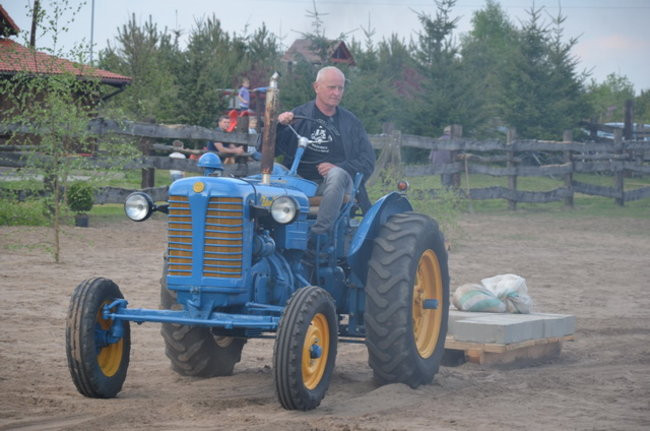 W harmonii z końmi (zdjęcia)