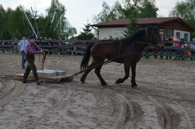 W harmonii z końmi (zdjęcia)