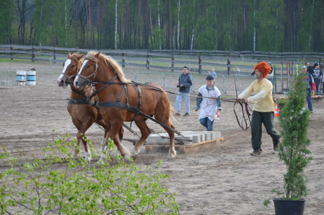 W harmonii z końmi (zdjęcia)