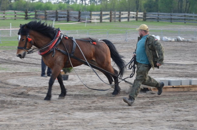 W harmonii z końmi (zdjęcia)