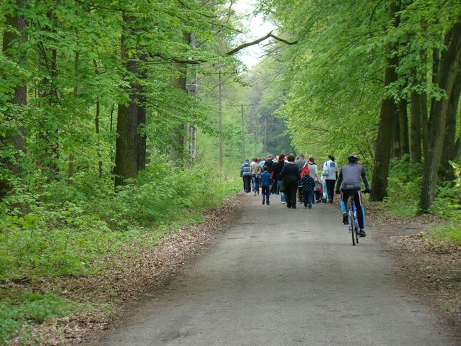 Transplantacja to życie, a bieg to zdrowie (zdjęcia i film)