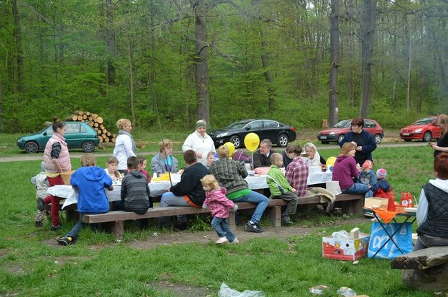 Zajączek Stowarzyszenia ECHO (zdjęcia)