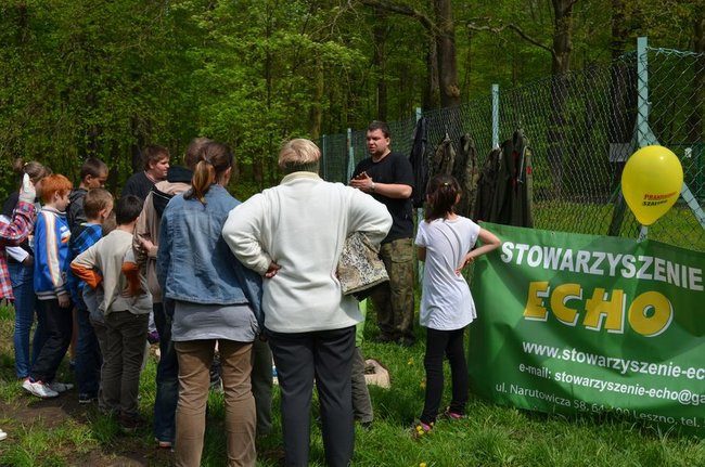 Zajączek Stowarzyszenia ECHO (zdjęcia)