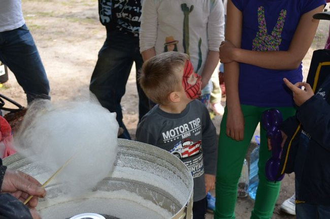 Zajączek Stowarzyszenia ECHO (zdjęcia)