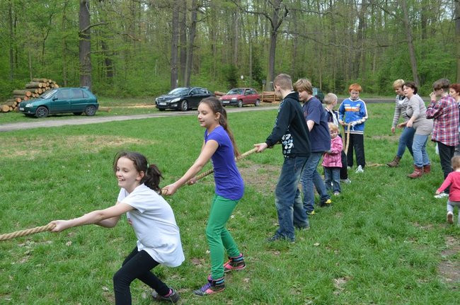 Zajączek Stowarzyszenia ECHO (zdjęcia)