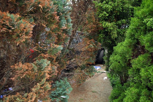 Audi zatrzymało się na domu (zdjęcia)