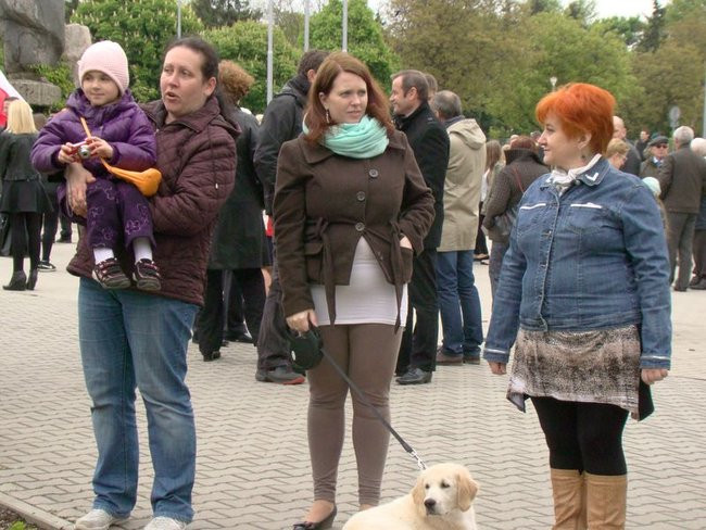 Obchody Święta 3 Maja w Lesznie (zdjęcia)