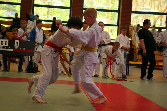 Turniej judo z okazji Dni Leszna (zdjęcia)