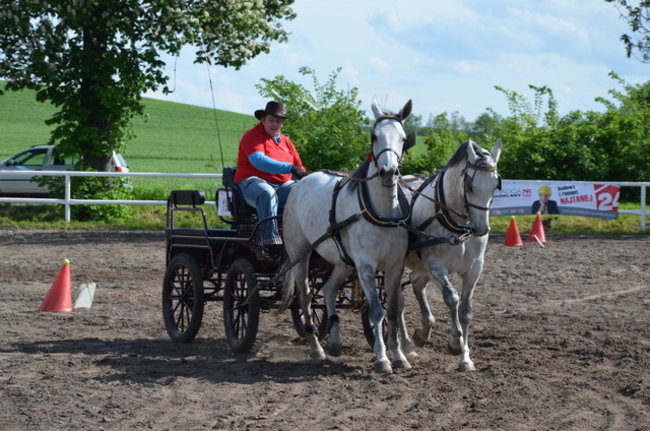 Rozdano puchary w Jeziorkach (zdjęcia)