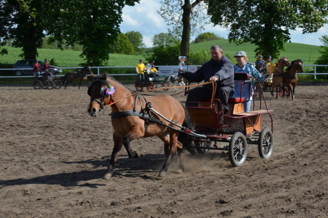 Rozdano puchary w Jeziorkach (zdjęcia)