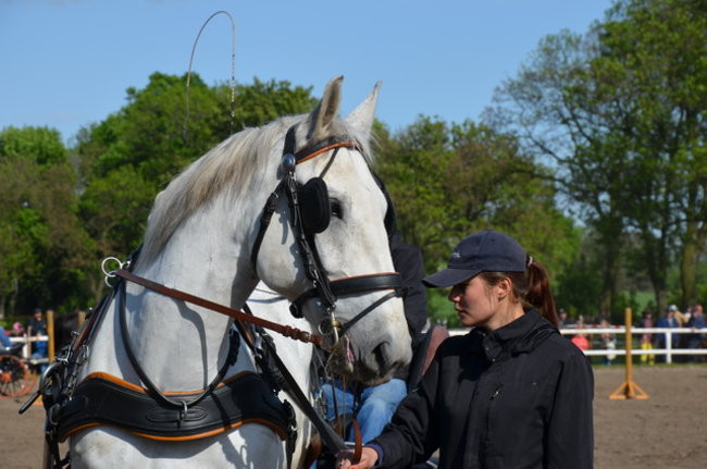 Rozdano puchary w Jeziorkach (zdjęcia)