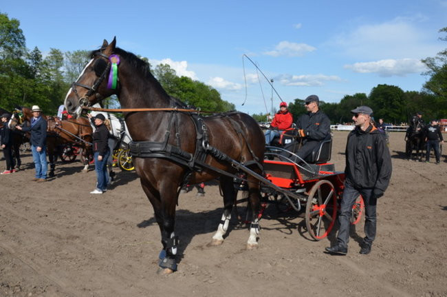 Rozdano puchary w Jeziorkach (zdjęcia)