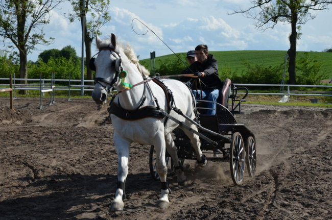 Rozdano puchary w Jeziorkach (zdjęcia)