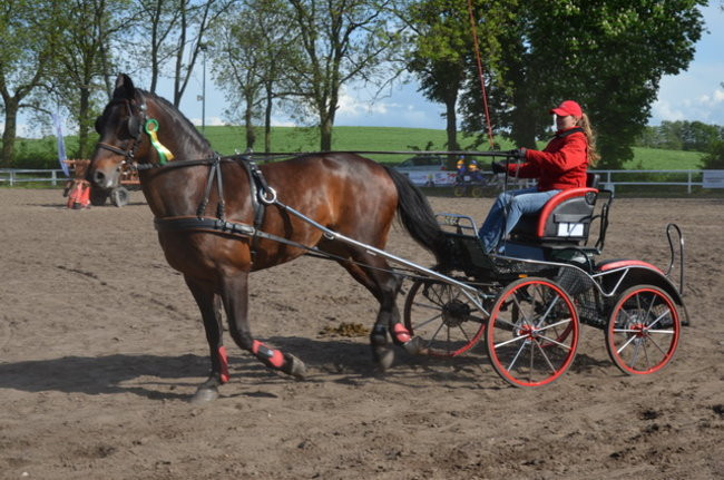 Rozdano puchary w Jeziorkach (zdjęcia)
