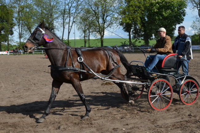 Rozdano puchary w Jeziorkach (zdjęcia)