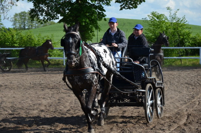 Rozdano puchary w Jeziorkach (zdjęcia)
