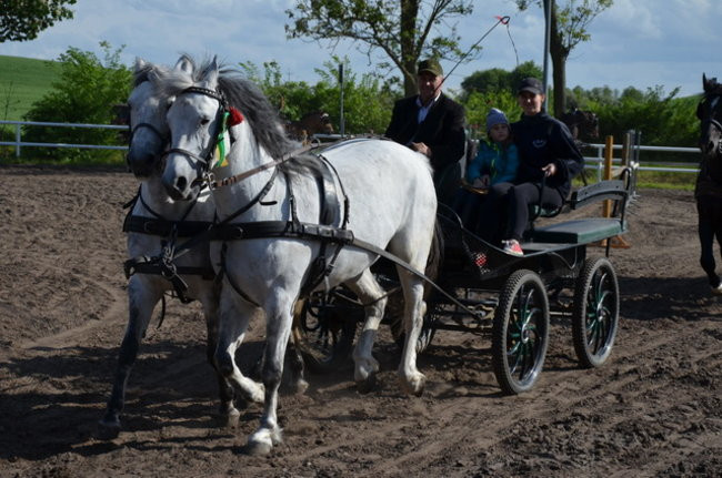 Rozdano puchary w Jeziorkach (zdjęcia)