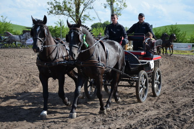 Rozdano puchary w Jeziorkach (zdjęcia)