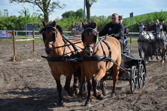 Rozdano puchary w Jeziorkach (zdjęcia)