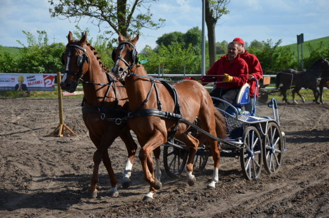 Rozdano puchary w Jeziorkach (zdjęcia)