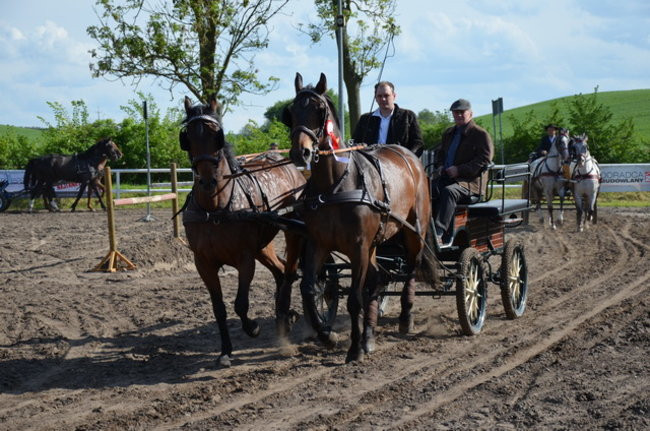 Rozdano puchary w Jeziorkach (zdjęcia)