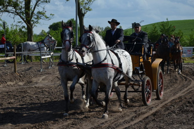 Rozdano puchary w Jeziorkach (zdjęcia)