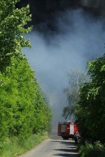 Wielki pożar w Miąskowie (zdjęcia i wideo)